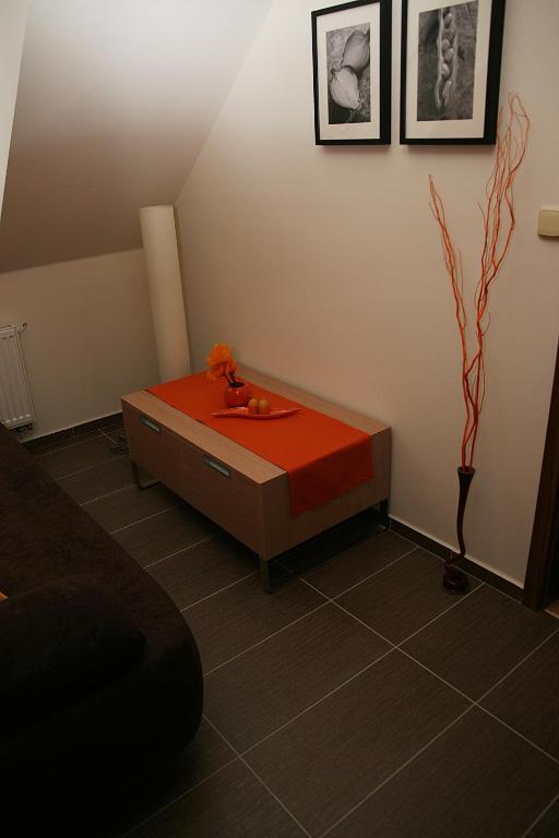 Penzion a relax centrum Andělka Hanušovice Pokoj fotografie