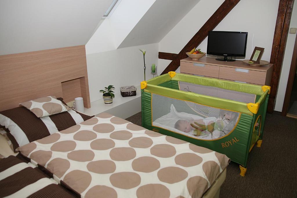 Penzion a relax centrum Andělka Hanušovice Pokoj fotografie
