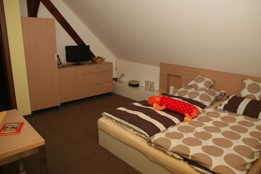 Penzion a relax centrum Andělka Hanušovice Pokoj fotografie