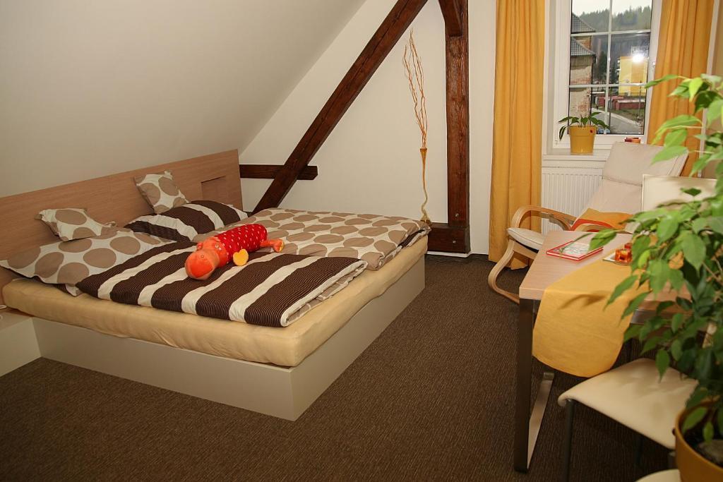 Penzion a relax centrum Andělka Hanušovice Pokoj fotografie